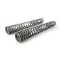 Progressive fork springs for BMW F800GS up to 2012 *lower suspension adjustment by 50mm*