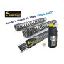 Progressive fork springs, Suzuki V-Strom DL 1000