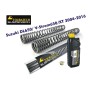 Muelles de horquilla progresivos, Suzuki DL650 / V-Strom 650/XT  2004-2016