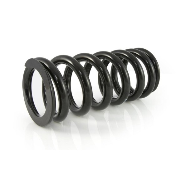 Progressive exchange springs for front and rear shock absorber tube BMW R1100GS since 1995