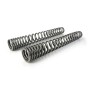 Suspension tuning for BMW F800GS / Adventure *from year 2013**exchange springs*