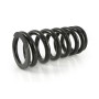 Hyperpro progressive exchange springs for fork and shock absorber tube, *BMW G650GS 2009*