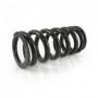 Muelles progresivos de intercambio para horquilla y tubo amortiguador Triumph Tiger 800XC  2011-2014
