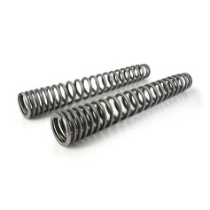 Hyperpro progressive exchange springs for fork and shock tube, Suzuki V-Strom 1000 since 2014