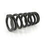Progressive exchange springs for fork and shock absorber tube, Yamaha MT 09 Tracer