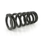 Muelles progresivos de intercambio Black-T para horquilla y tubo amortiguador, BMW RnineT Scrambler/UrbanG/S ab 2015
