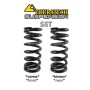 Kit de muelles "progresivos" amortiguadores delantero y trasero para BMW R1250GS LC / R1200GS LC / R1200GS Adv