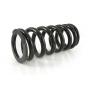 Progressive interchange springs for fork and shock tube for Honda