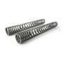 Progressive interchange springs for fork and shock absorber tube for Aprilia Caponord