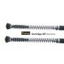 Kit de suspensión Extreme para Yamaha Tenere 700