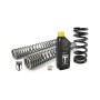 Replacement Black-T Stage1 Progressive Replacement Fork and Shock Springs for BMW RnineT Pure (2017-)