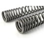 Height Reduction Kit -25/-40mm with Progressive Replacement Springs for BMW F850GS / ADV (2018-)