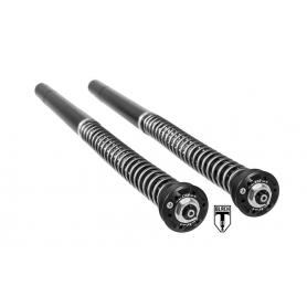 Black-T Stage4 Cartridge Kit for Triumph Thruxton-R (2016-2018)