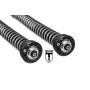 Black-T Stage4 Cartridge Kit for Triumph Thruxton-R (2016-2018)