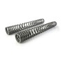 Progressive springs for Honda CRF1100L Adventure Sports without EERA (2020-2021). + 20 mm height. Heavy load