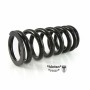 Muelle de repuesto progresivo BLACK-T Stage1 para amortiguador apto para INDIAN FTR 1200 / FTR 1200 S (2019-2021)