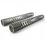Progressive fork springs for Tiger 900 Rally / Rally Pro (2020-2021) -20mm lowering