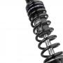 BLACK-T Twin-Shock Stage2 suspension set with length adjustment for Triumph Speed Twin from 2019 onwards