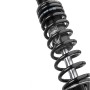 BLACK-T Twin-Shock Stage2 suspension set with length adjustment for Triumph Speed Twin from 2019 onwards