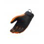 Coast gloves: all-terrain equipment for cool outings