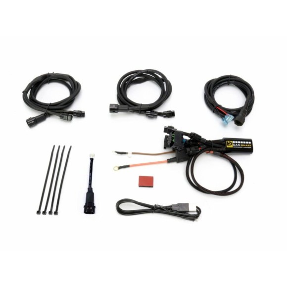 Controlador CANBus DENALI CANsmart™ GEN II para BMW R1200LC / R1250