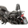 Respaldo sissybar portaequipajes Eliminator 500 | Hepco&Becker