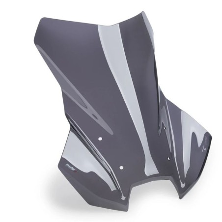 Cúpula Touring Plus Puig para BMW R 1300 GS con ACC / Radar