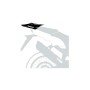 Ampliación trasera para Triumph Tiger 900 Rally / GT / Pro (2020-23)