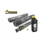 Muelles de Horquilla Progresivos de Touratech Suspension para BMW F750GS  (2018-2023)