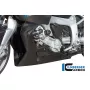 Proteccion para motor en carbono para BMW K1200R & K1200R Sport