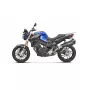 Sistema de escape AkrapoviÄ Slip-On (Titanium) para BMW F 800 R 2009